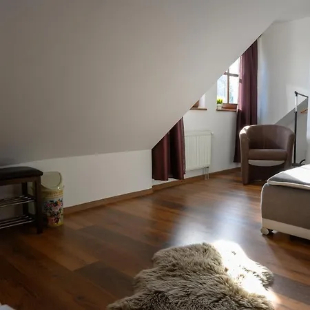 Penzion Frycovice בית הארחה 3*