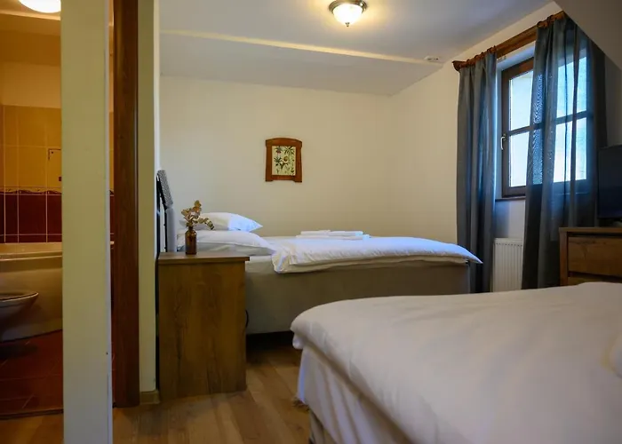 Πανσιόν Penzion Frycovice 3*